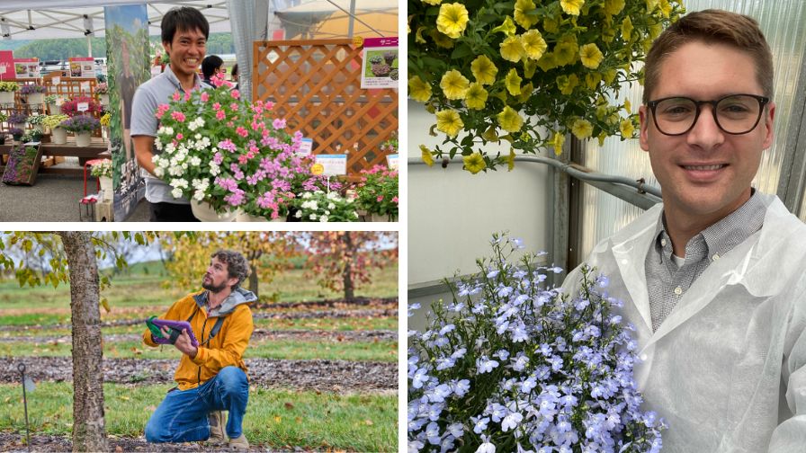 How Breeders Beautify Our World (Part 3)