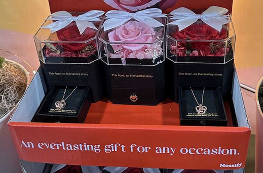 Everlasting Preserved Rose Display With Necklace (Mossify)