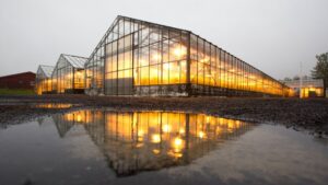 Protecting Greenhouses from Collapse in Severe Winter Weather