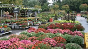 Managing Resources to Navigate Uncertainty in the Floriculture Market