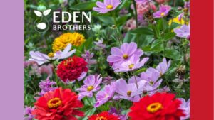 Kian Expands Portfolio with Acquisition of Eden Brothers