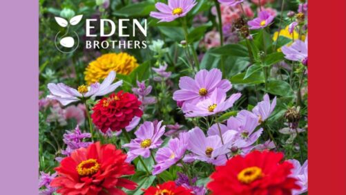 Kian Expands Portfolio with Acquisition of Eden Brothers