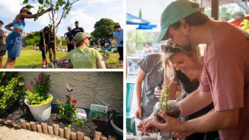 Top 10 Gardening Trends for 2025 from the Pennsylvania Horticultural Society