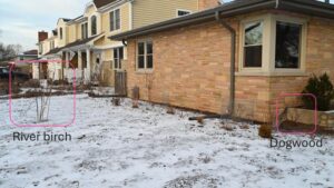 Updating Your Plant Palette to Leverage Climate Change