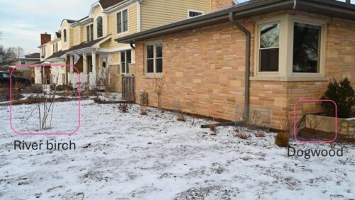 Updating Your Plant Palette to Leverage Climate Change