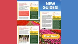 3 New Guides Focusing on Social Sustainability Released by Sustainabloom