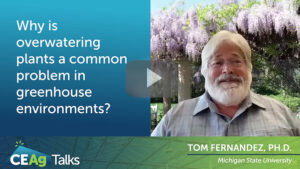 Video of the Week: How to Avoid Overwatering Greenhouse Plants