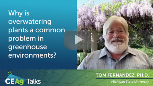 Video of the Week: How to Avoid Overwatering Greenhouse Plants