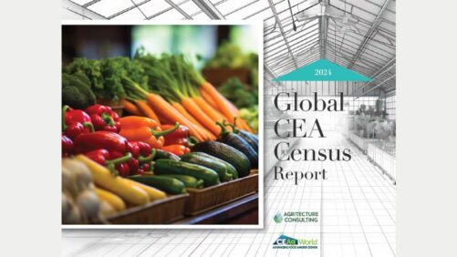 The 2024 Global CEA Census Results Are Here