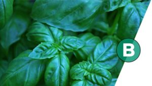 BioWorks Appoints Erika Rohr as Its New Regulatory Manager