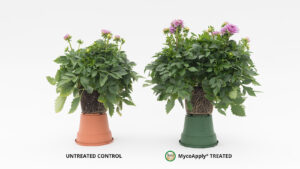 Mycorrhizal Fungi Return on Investment: Nutrients