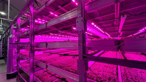 AdeptAg Forms Strategic Partnership with FGM Moving Gutter Systems