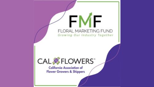 Floral Marketing Fund and CalFlowers Announce New Partnership