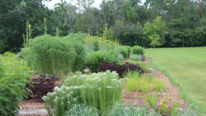 Iowa Arboretum and Gardens Releases 2024 Trial Program Report