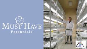 Outback Plants Acquires Must Have Perennials From Aris Horticulture