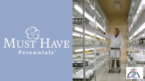 Outback Plants Acquires Must Have Perennials From Aris Horticulture