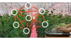 MeshIQ Wireless Control System