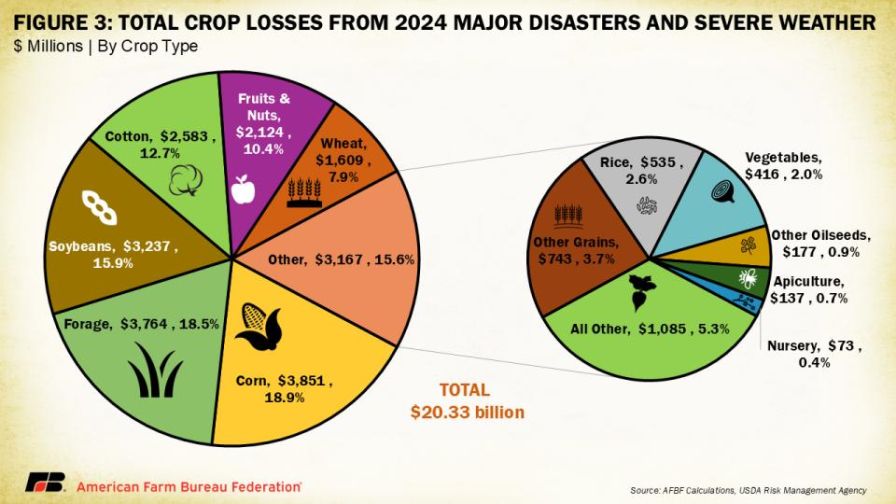Extreme Weather in 2024 Cost Farmers More Than $20 Billion