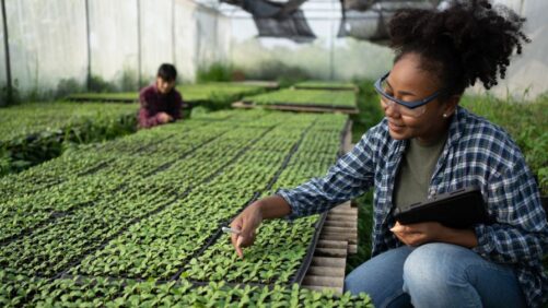 How To Overcome Barriers When Building Your Greenhouse Team