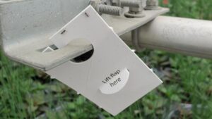 Learning Opportunity: Best Practices for Beneficial Insect Applications