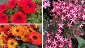 Highlights From Day 1 of California Spring Trials 2025