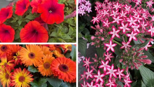 Highlights From Day 1 of California Spring Trials 2025