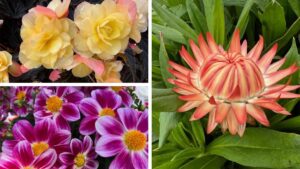 Highlights From Day 3 of California Spring Trials 2025