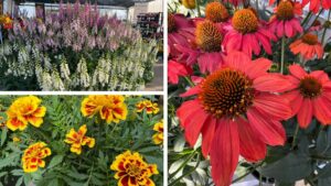 Highlights From Day 5 of California Spring Trials 2025