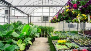 How To Maintain Greenhouse Heating Systems With Seasonal Shutdown Tips