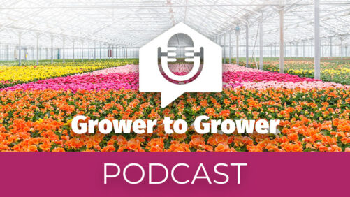 Greenhouse Grower to Grower Podcast: Awards, Top 100, and Events