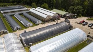 How To Prepare for Wind, Hail, and Flash Floods in Spring