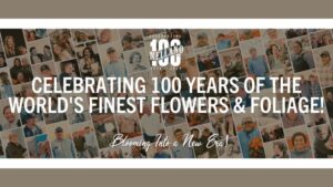 Mellano Celebrates 100 Years of Floral Farming Innovation