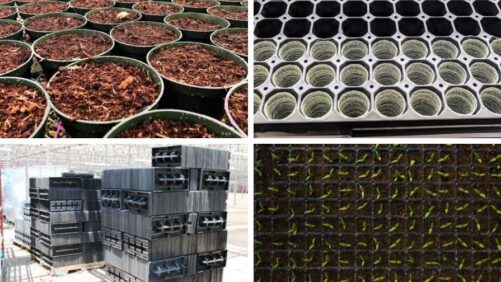 How to Successfully Stack Prefilled Containers