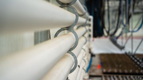 The Latest on Hydronic Heating in the Greenhouse