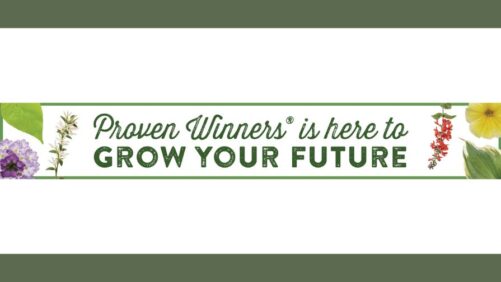 Applications for 2025 Proven Winners Horticulture Scholarships Are Now Open