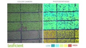 Introducing the First Plant-Responsive Dynamic LED Lighting Solution