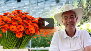 How Breeders and Brokers Can Capitalize on the Cut Flower Market