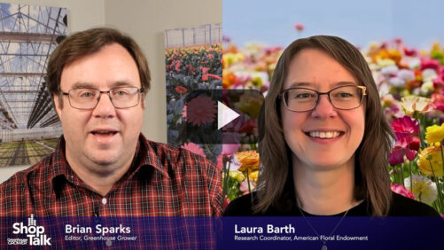 How AFE’s Internship Program Is Building New Industry Experts (Video)