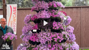 V: Videos from our Greenhouse Grower team