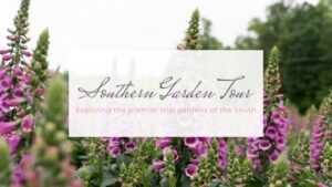 Announcing the Dates for the 2025 Southern Garden Tour
