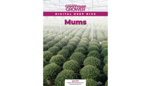 A Deep Dive Into Timeless Greenhouse Production Education