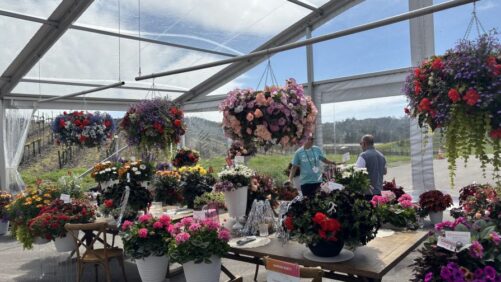 Takeaways and Thanks From a CAST First-Timer