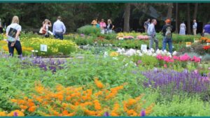 Registration Is Now Open for Darwin Perennials Day 2025