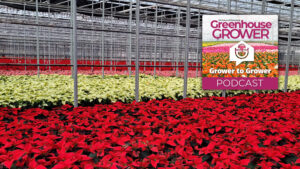 Greenhouse Grower to Grower Podcast: Bernie Heimos and David Hoffmann