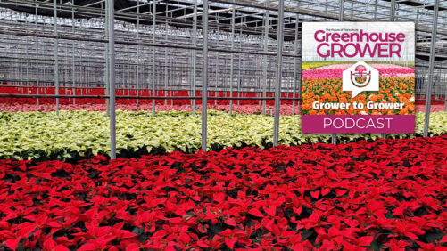 Greenhouse Grower to Grower Podcast: Bernie Heimos and David Hoffmann