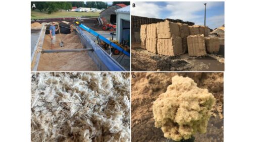 The Growing Media Market: Tariffs, Trends, and What Lies Ahead