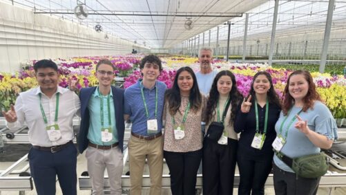Horticulture Students Get Hands-On Learning Experience at California Spring Trials