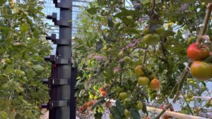 IUNU Secures $20 Million for AI Greenhouse Technology Research