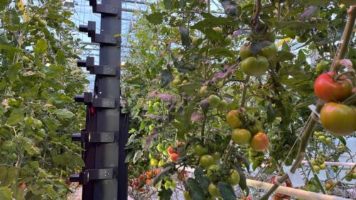 IUNU Secures $20 Million for AI Greenhouse Technology Research