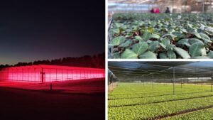 Riverbend Nursery Acquires Georgia-Based James Greenhouses